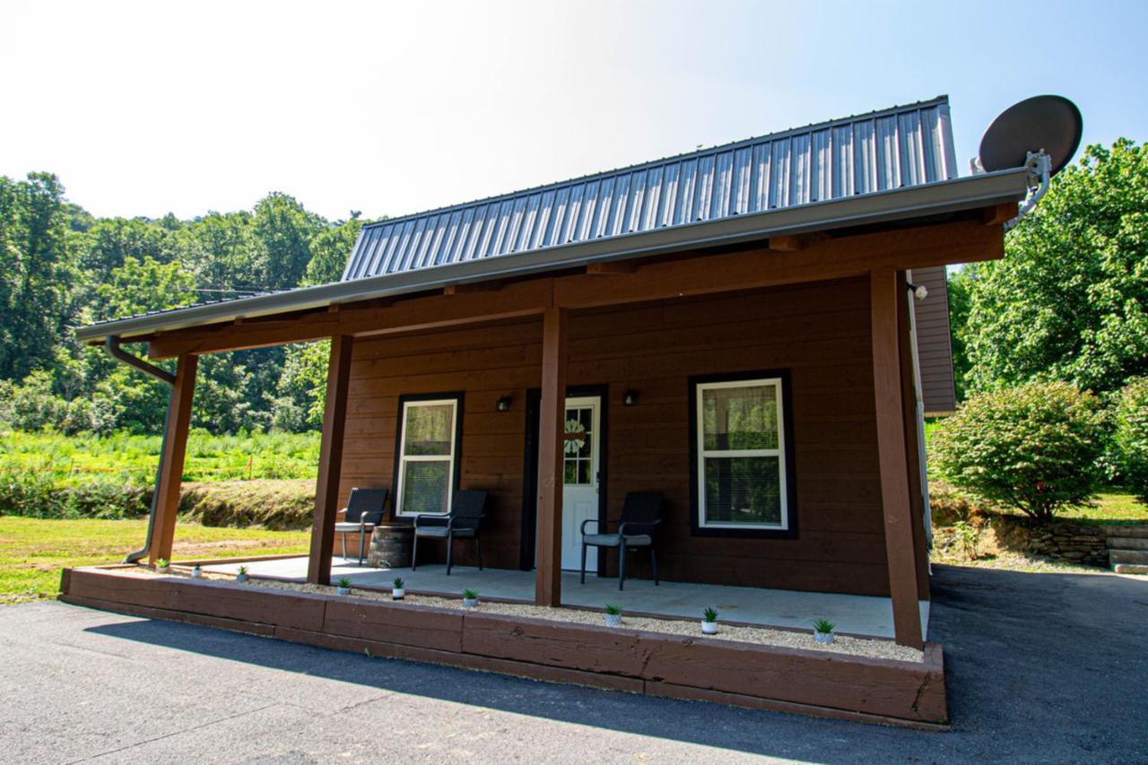 Mountain Haven Dragon'S Nest Cabin Robbinsville Exterior foto